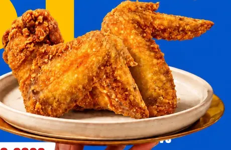 Two crispy fried chicken wings on a plate